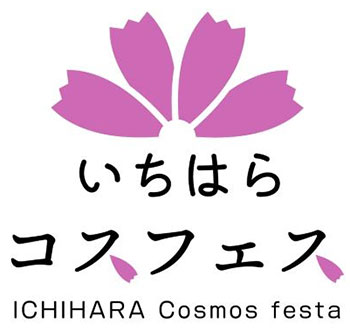 いちはらコスモスフェスタ